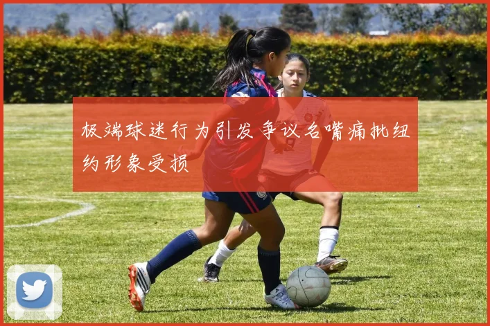 极端球迷行为引发争议名嘴痛批纽约形象受损