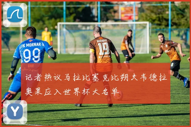 记者热议马拉比塞克比朔夫韦德拉奥果应入世界杯大名单